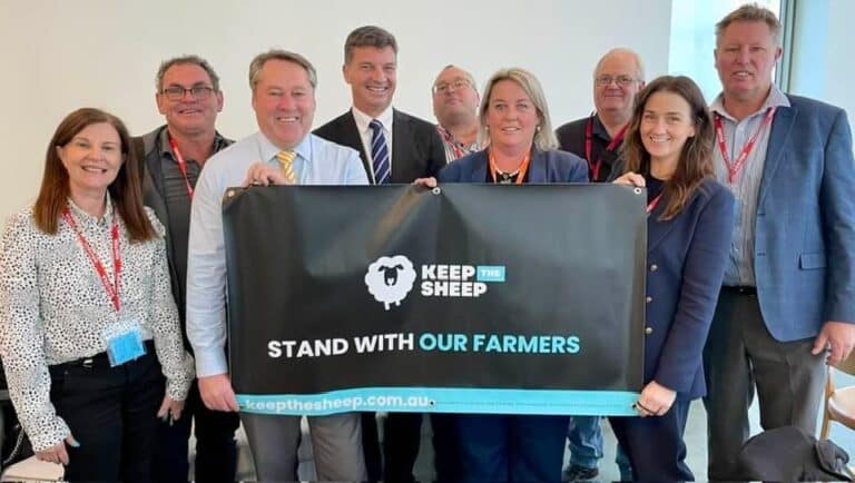 Transport operators vow to keep fighting despite live sheep ban bill ...