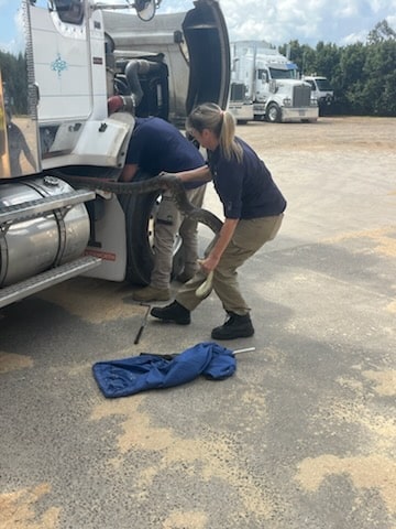 Snake catcher's warning as 10ft python found in truck